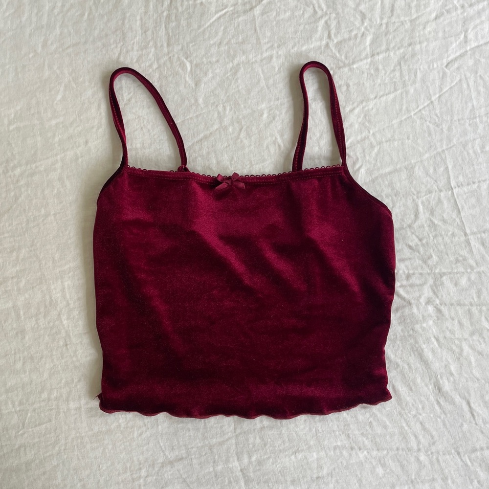 Burgundy Velvet Crop Tank
